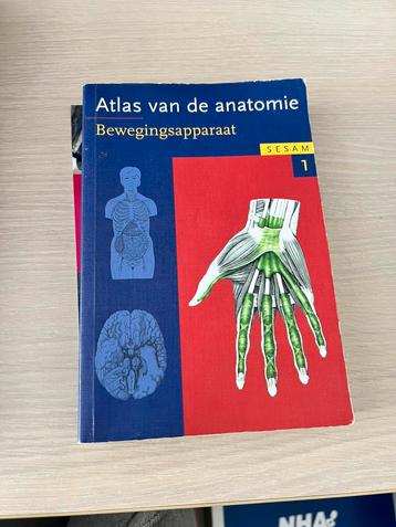 Werner Platzer - 1 Het bewegingsapparaat beschikbaar voor biedingen
