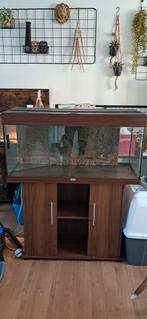 juwel rio 180, Dieren en Toebehoren, Vissen | Aquaria en Toebehoren, Ophalen, Gebruikt, Leeg aquarium
