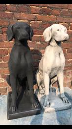 Pointer 60kg Weimaraner Vizsla Korthaar Ridgeback Jachthond, Ophalen of Verzenden, Nieuw, Beton, Dierenbeeld