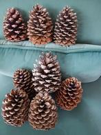 Kerst, Grote, hele grote dennenappels. 15/ 16 cm., Huis en Inrichting, Woonaccessoires | Kransen, Ophalen of Verzenden, Zo goed als nieuw