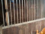 Paardenbox voor en zijwand, Dieren en Toebehoren