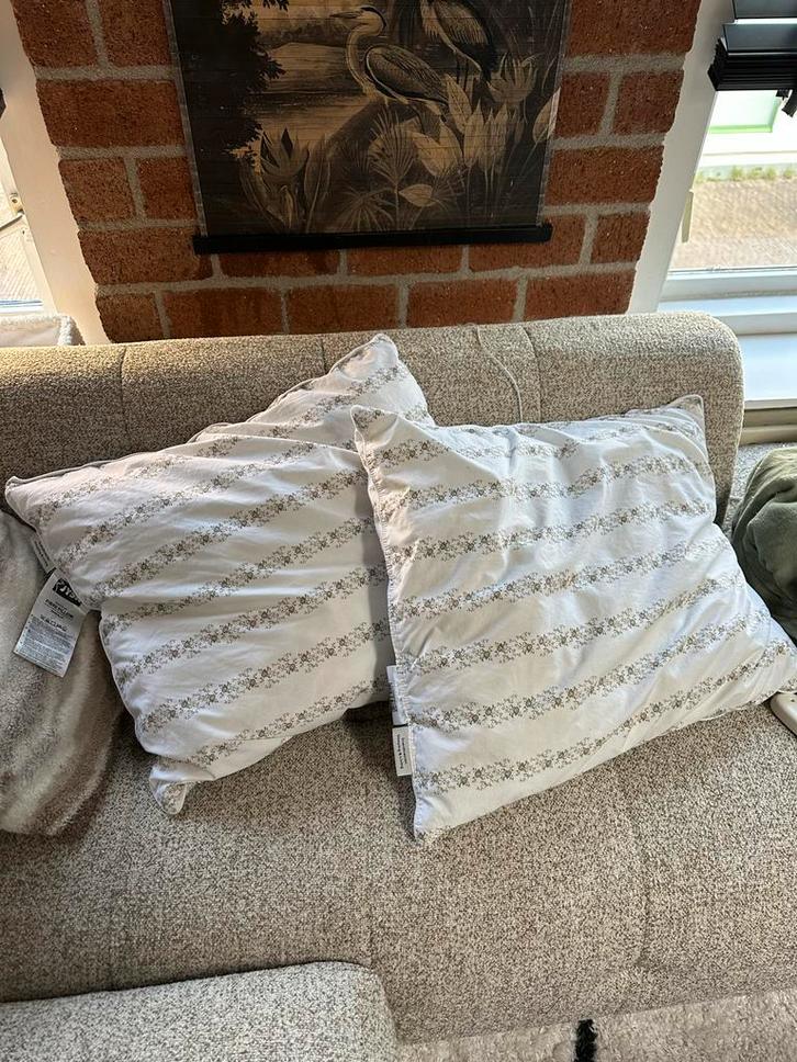 2 JYSK hoofdkussens - TRONFJELLET 60x63/70 cm, Huis en Inrichting, Woonaccessoires | Kussens, Zo goed als nieuw, Wit, Rechthoekig