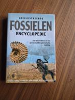 3 verschillende Fossielen Gidsen /Encyclopedie / Gids Nieuw!, Ophalen of Verzenden, Nieuw, Natuur algemeen, Diverse Auteurs