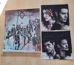 Kussenhoezen en poster van Shadowhunters, Boeken, Fantasy, Ophalen of Verzenden, Nieuw