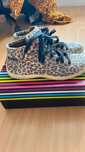 Little Marcel meiden gympen cheetah tijger 38 beschikbaar voor biedingen