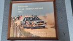 Mitsubishi lancer poster Rally Kampioenschap 1983 66 x 54 cm, Ophalen of Verzenden