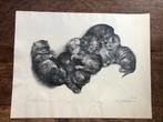 Oude litho, Antiek en Kunst, Kunst | Litho's en Zeefdrukken, Ophalen of Verzenden