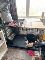 Bench Groot, Ophalen, Minder dan 75 cm, Minder dan 65 cm