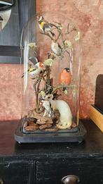Uniek Taxidermie Stuk – Witte Marter met Vinken & Putter, Verzamelen, Ophalen, Nieuw, Vogel, Opgezet dier