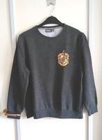 Harry Potter trui mt M, Ophalen of Verzenden, Zo goed als nieuw, Jongen of Meisje, Trui of Vest