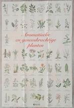Poster Aromatische en geneeskrachtige planten, Verzamelen, Posters, Ophalen of Verzenden, Zo goed als nieuw