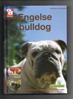 Engelse Bulldog - Adriaan Louwrier, Boeken, Dieren en Huisdieren, Nieuw, Honden, Ophalen of Verzenden