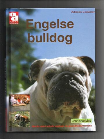 Engelse Bulldog - Adriaan Louwrier 