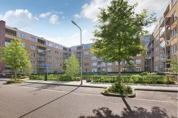 NIEUW! Woonruimte te huur Stationspark, Roermond beschikbaar voor biedingen