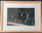 Herten (foto) ... in Barth wissellijst van 30x40 cm. ......, Antiek en Kunst, Kunst | Tekeningen en Foto's, Ophalen of Verzenden
