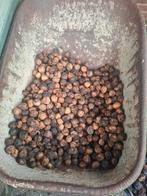 Verse Walnoten van dit seizoen - €3.50/kilo, Ophalen of Verzenden