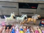 Complete Barbie Verzameling te Koop – In Eén Keer mee te Nem, Ophalen of Verzenden, Gebruikt, Barbie