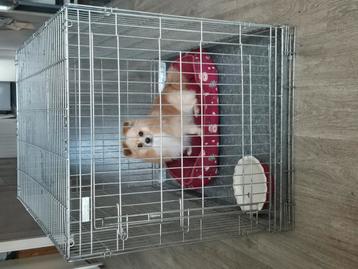 Hondenbench hondenhok 1deur met 3 puntssluiting  beschikbaar voor biedingen