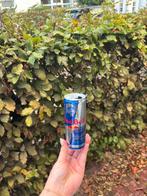 Empty Red Bull promo can, Ophalen of Verzenden, Zo goed als nieuw, Overige, Overige merken