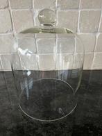 Glazen stolp, Ophalen of Verzenden, Zo goed als nieuw