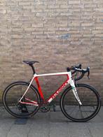 Basso Astra 58 cm Campagnolo, Gebruikt, Carbon, 57 tot 61 cm, Meer dan 20 versnellingen