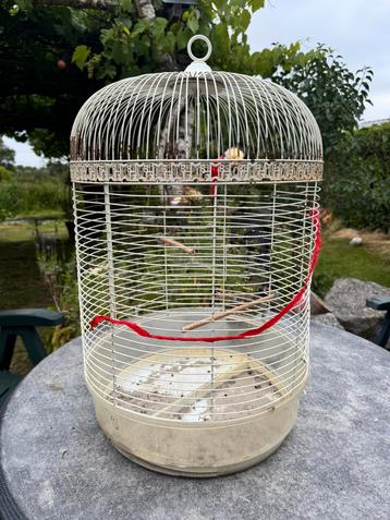 Vogelkooi rond beschikbaar voor biedingen