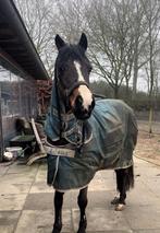 Bucas pony deken en eventueel hals, Dieren en Toebehoren, Ophalen of Verzenden, Gebruikt, Deken