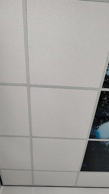 15 stuks plafond platen 60x60 Knauf Colorado beschikbaar voor biedingen