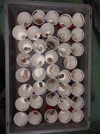 Verzameling munten, allerlei landen, in 1 koop! Bieden!, Verzamelen, Ophalen of Verzenden