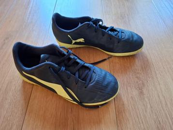 Gymschoenen, maat 37 beschikbaar voor biedingen