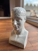 Frenologie beeld 45cm hoog, Ophalen