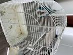 Kooi wit voor vogels, Meerdere dieren, Parkiet