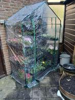 kweekkas 143 x 73 x 195, Tuin en Terras, Ophalen, Folie, Kweekkas, Zo goed als nieuw