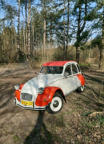 Citroën 2CV 0.6 Club S6 1988 Wit beschikbaar voor biedingen