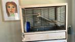 Gratis: Ferplast Hamsterkooi, Dieren en Toebehoren, Knaagdieren en Konijnen | Hokken en Kooien, Kooi, Gebruikt, Minder dan 75 cm