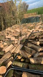 Topkwaliteit Haardhout / Brandhout / Kachelhout – 15% Vocht, Tuin en Terras, Haardhout, Minder dan 3 m³, Ophalen