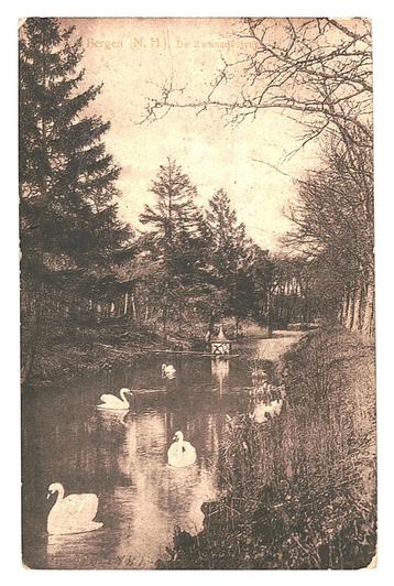 950653	Bergen	NH	de Zwanenvijver	1913	Gelopen met postzegel  beschikbaar voor biedingen