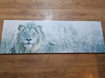 Leeuw Print - Moderne Wanddecoratie beschikbaar voor biedingen