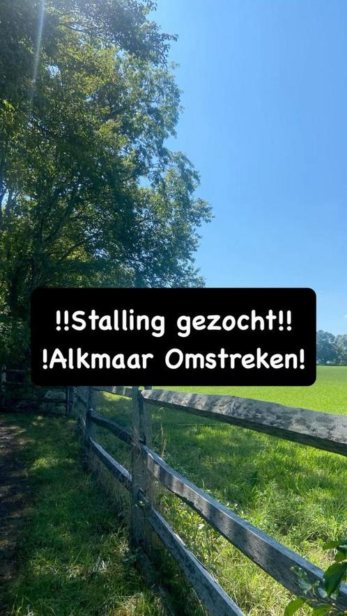 Stalling gezocht!! Alkmaar omstreken, Dieren en Toebehoren, Stalling en Weidegang, Stalling