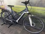 Pegasus Premio Evo 10 Lite - Electrische fiets - 750WH Accu, Fietsen en Brommers, Elektrische fietsen, Overige merken, Ophalen of Verzenden