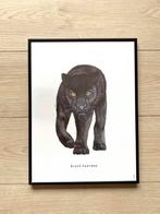 Poster van Bintje & lijst, Ophalen of Verzenden, Zo goed als nieuw, Wanddecoratie