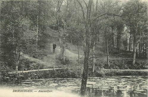 (388-405-047) Driebergen-Rijsenburg Acaciavijver, Verzamelen, Ansichtkaarten | Nederland, Utrecht, Verzenden