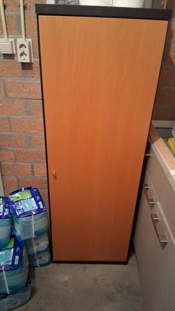 Houten Kast met Deur en Planken beschikbaar voor biedingen