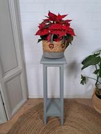 Houten plantentafel, Minder dan 55 cm, Ophalen of Verzenden, Zo goed als nieuw, 60 cm of meer