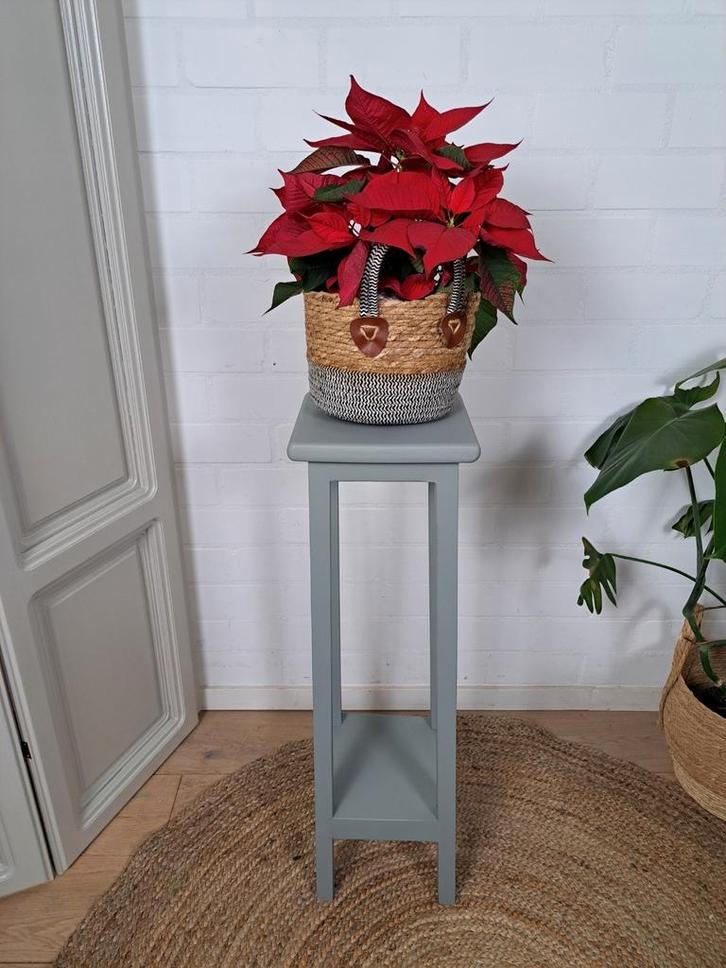 Houten plantentafel, Huis en Inrichting, Tafels | Bijzettafels, Zo goed als nieuw, Rechthoekig, 60 cm of meer, Minder dan 55 cm