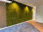 Kunsthaag – Professionele groene wanden, Ophalen of Verzenden, Nieuw, Binnen