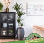 That LifeStyle kast Grote Tuinverbouwing, Ophalen, Zo goed als nieuw