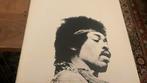 Jimi Hendrix. Starportrait Jimi Hendrix Experience, Ophalen of Verzenden, Zo goed als nieuw, Poprock