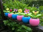 Solar Flip Flap Dieren en plantjes poppetje figuurtjes lezen, Verzamelen, Poppetjes en Figuurtjes, Ophalen of Verzenden, Nieuw