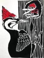 Linodruk van een specht met jongen (kleuren), Antiek en Kunst, Ophalen of Verzenden
